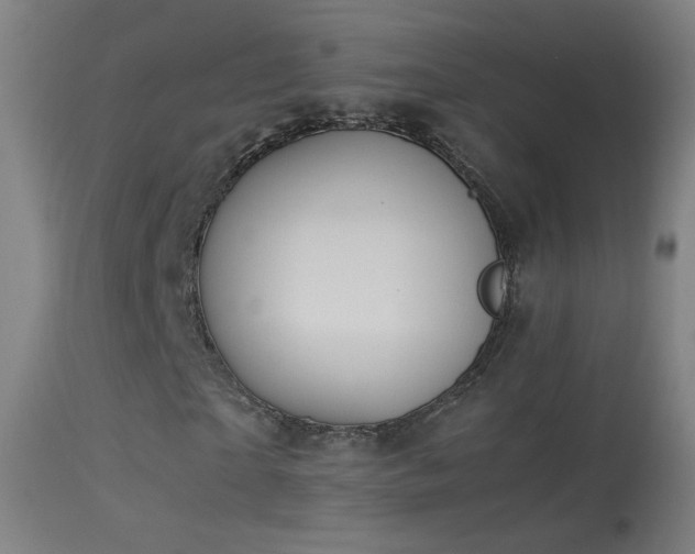 X0000114170865200910151635