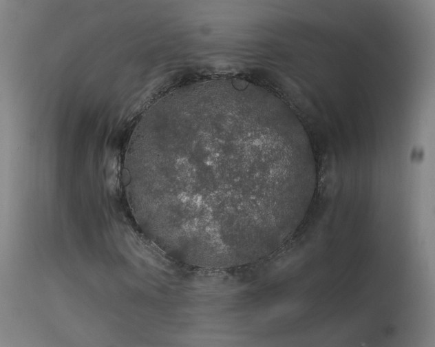 X0000114170866200910151635