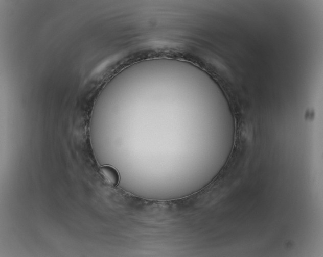 X0000114170869200910151635