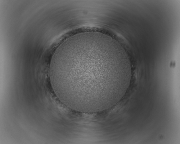 X0000114170870200910151635