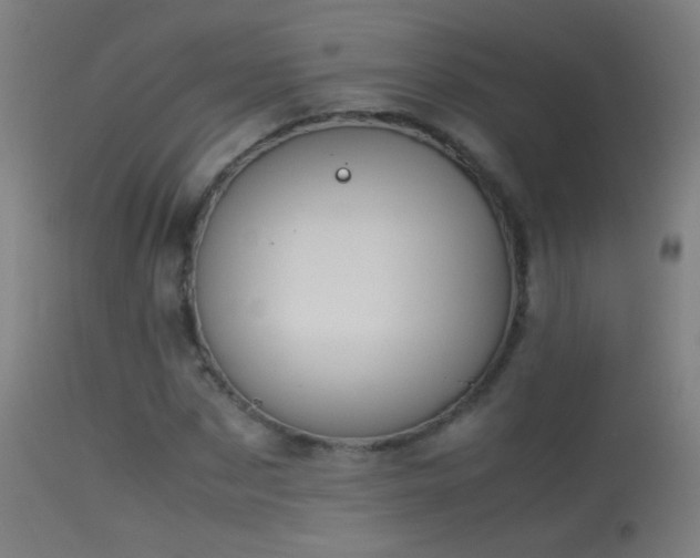 X0000114170873200910151634