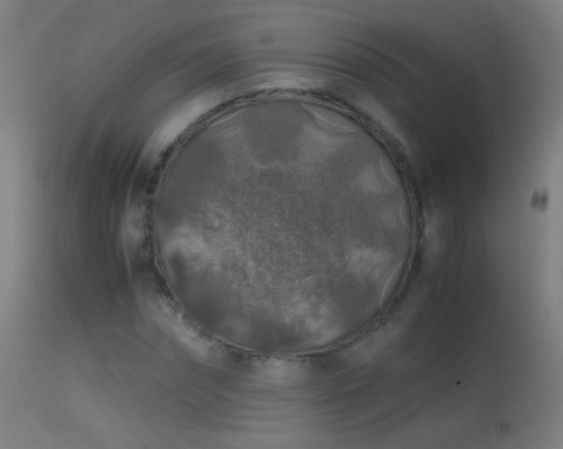 X0000114170874200910151634