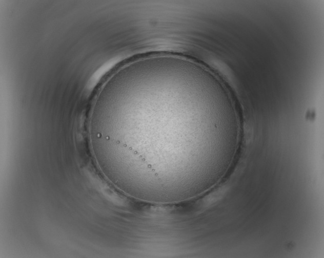 X0000114170875200910151634