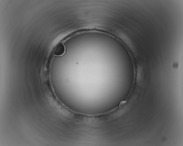 X0000114170876200910151634