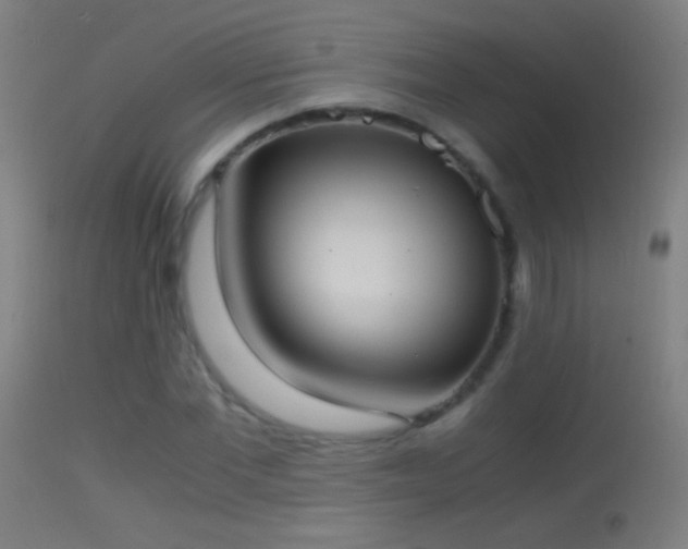 X0000114170877200910151634
