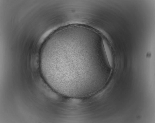 X0000114170878200910151634