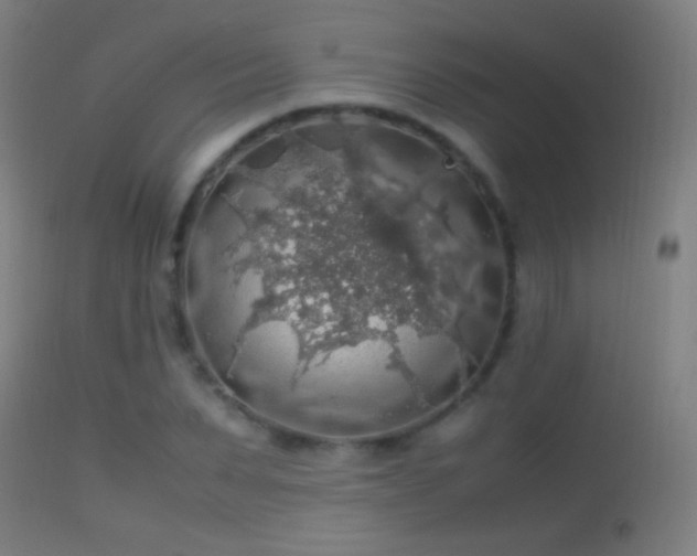 X0000114170879200910151634