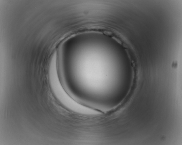 X0000114170881200910151634