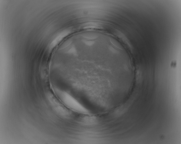X0000114170882200910151634