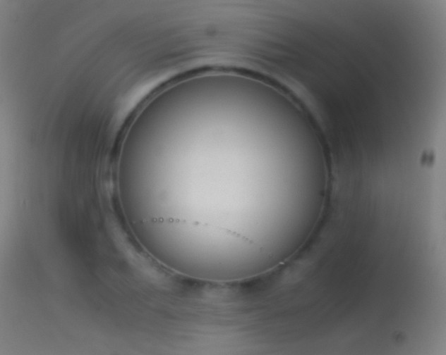 X0000114170887200910151634