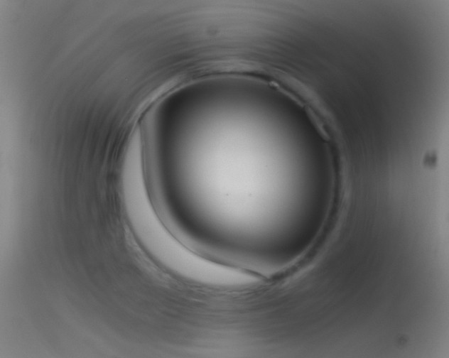 X0000114170889200910151634