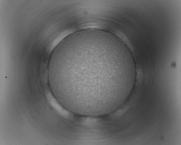 X0000114170890200910151634