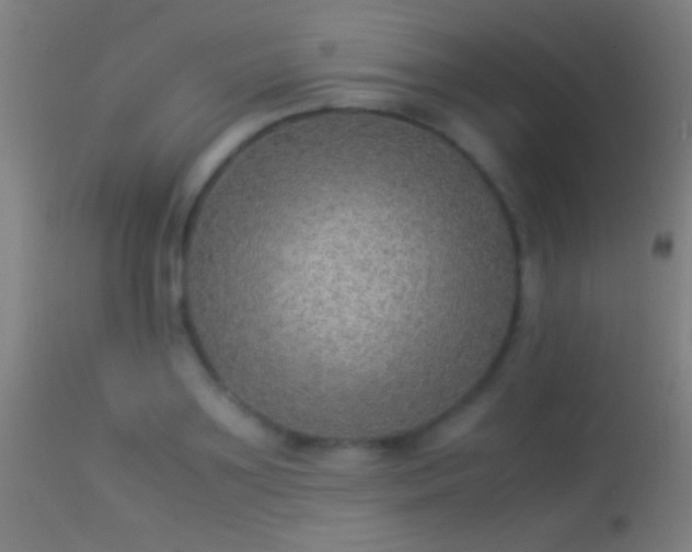 X0000114170891200910151634