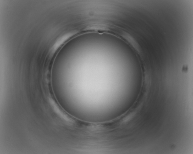 X0000114170893200910151634