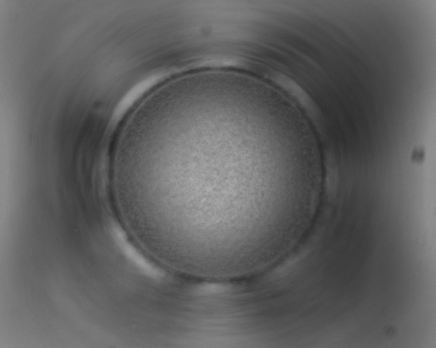 X0000114170894200910151634