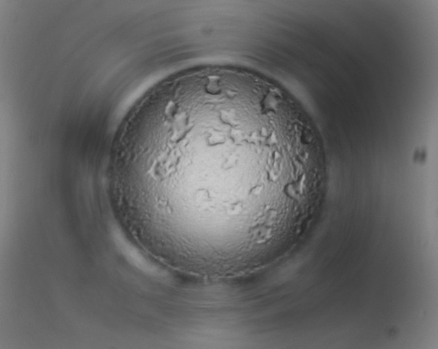 X0000114170895200910151634