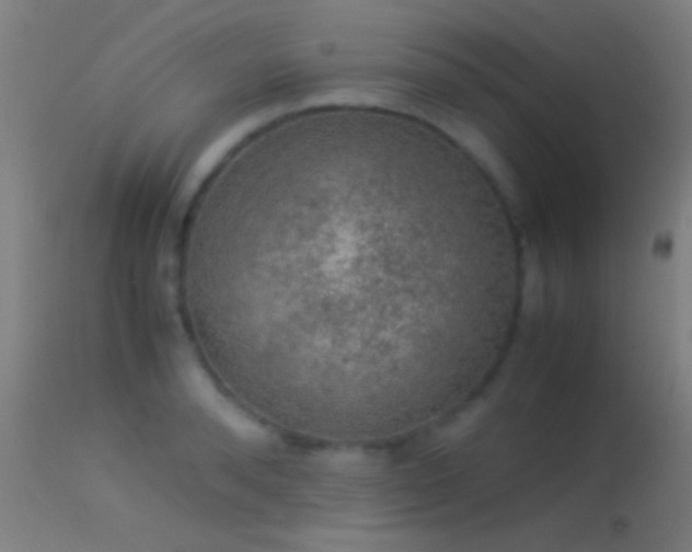 X0000114170896200910151634