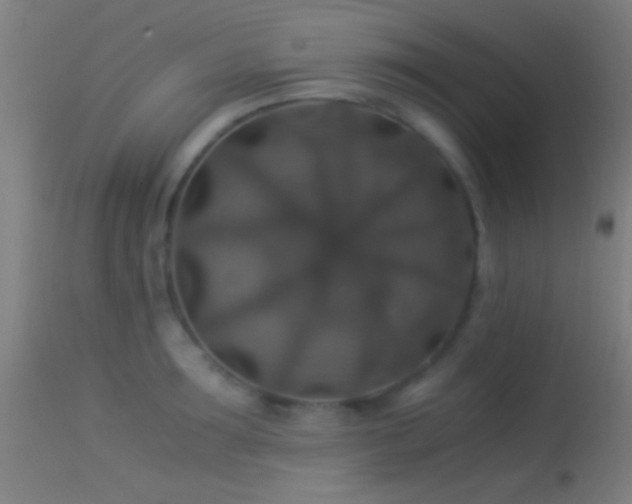 X0000114170899200910151634