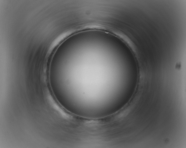 X0000114170902200910151634