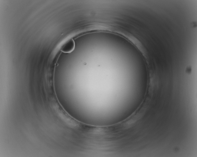 X0000114170904200910151634