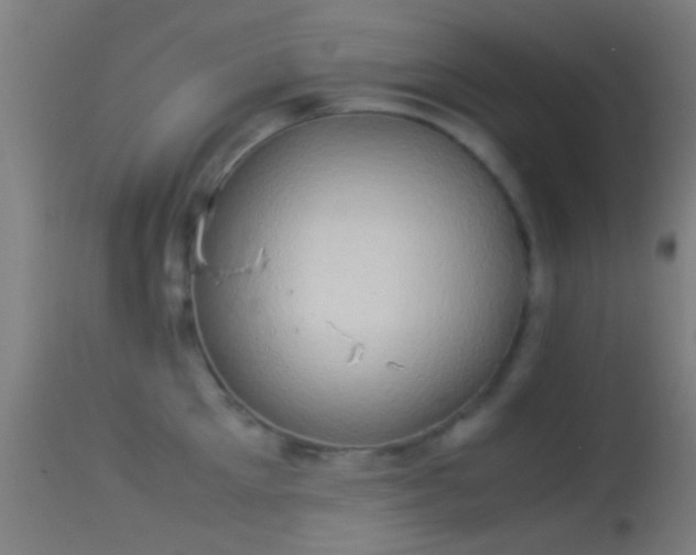 X0000114170905200910151634