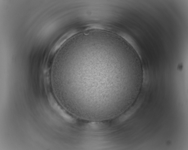 X0000114170906200910151634
