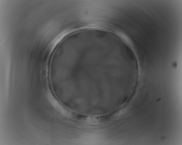 X0000114170907200910151634