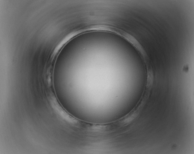 X0000114170908200910151634