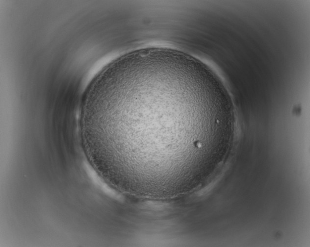 X0000114170910200910151634