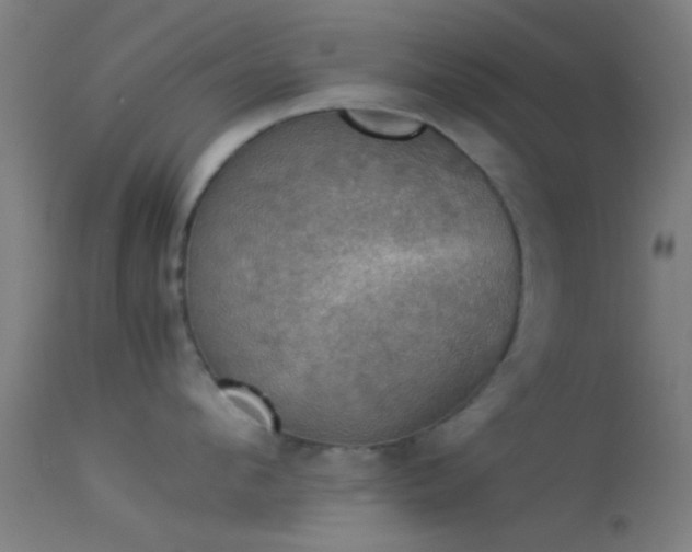 X0000114170912200910151634