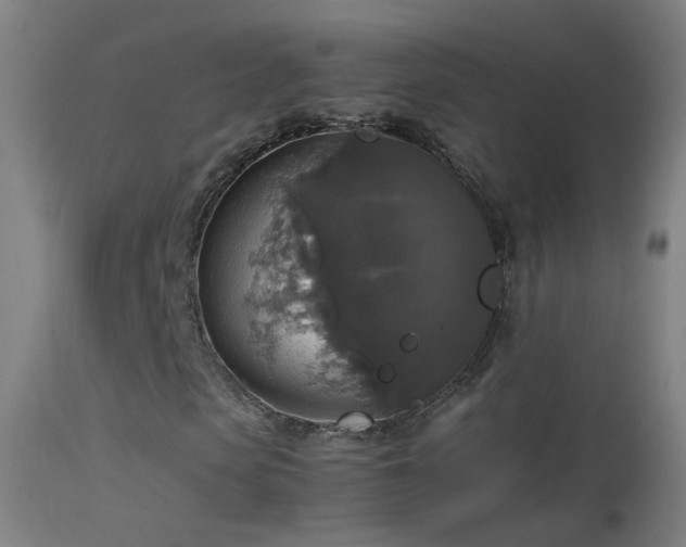 X0000114170913200910151633