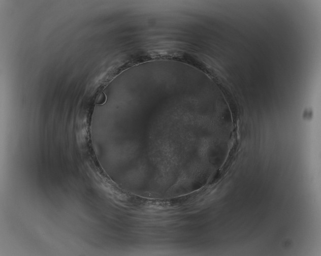 X0000114170915200910151633