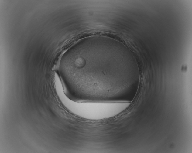 X0000114170916200910151633