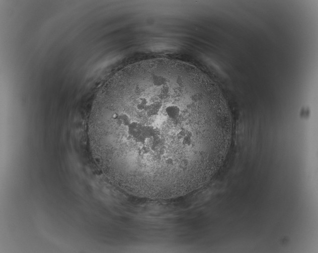 X0000114170917200910151633
