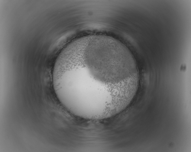 X0000114170918200910151633