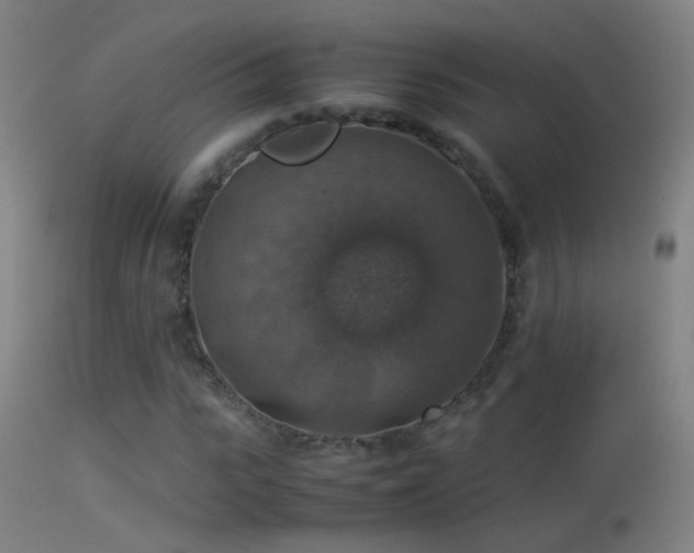X0000114170919200910151633