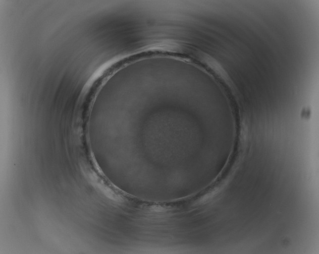 X0000114170923200910151633