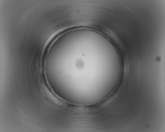 X0000114170924200910151633