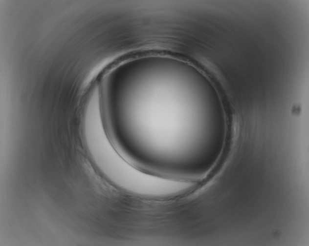 X0000114170925200910151633