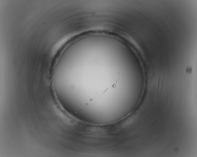 X0000114170927200910151633