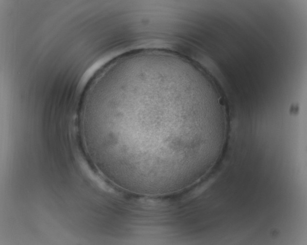 X0000114170928200910151633