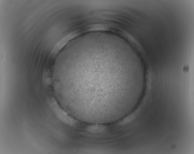 X0000114170929200910151633