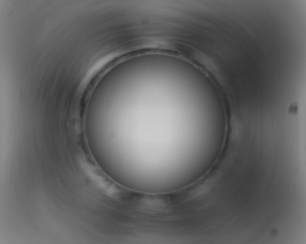 X0000114170931200910151634