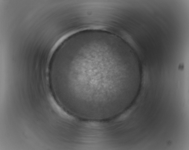 X0000114170932200910151634