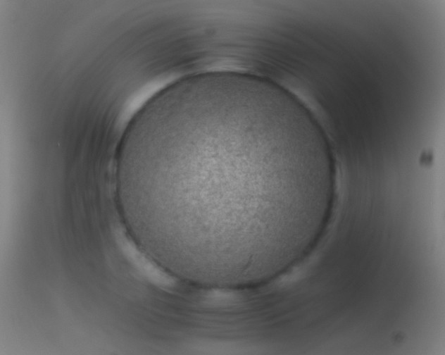 X0000114170933200910151634
