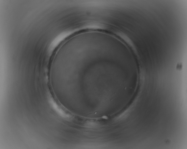 X0000114170935200910151634