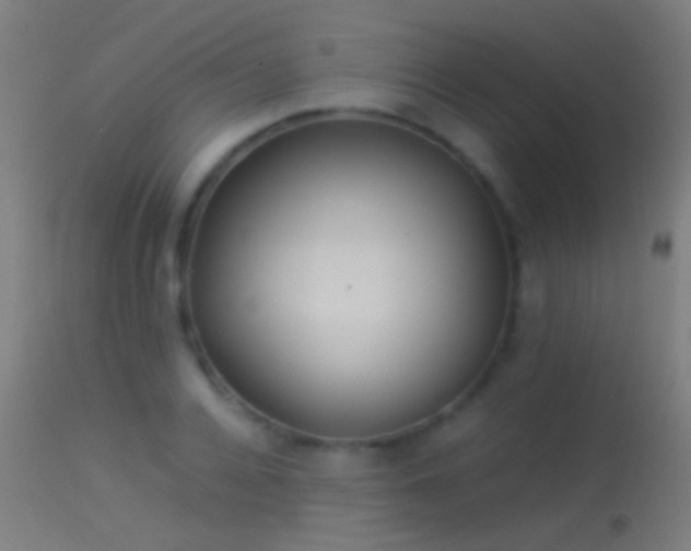 X0000114170936200910151634
