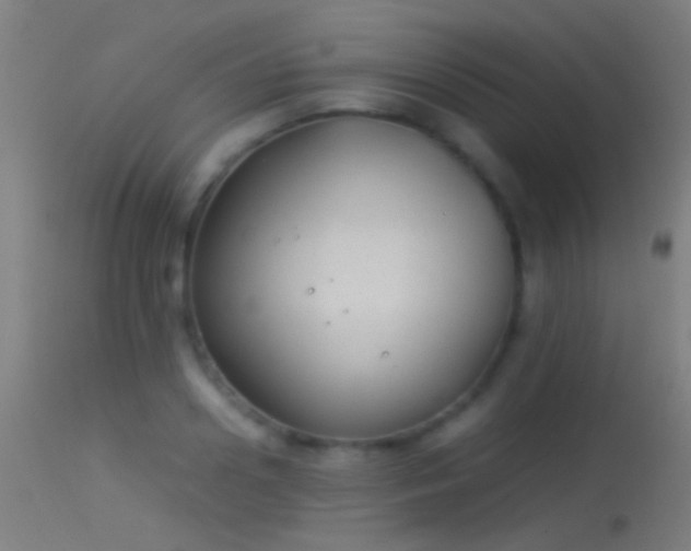 X0000114170938200910151634
