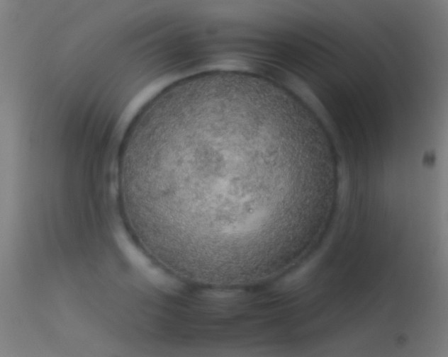 X0000114170939200910151634
