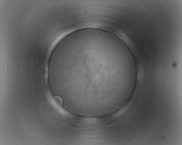 X0000114170940200910151634